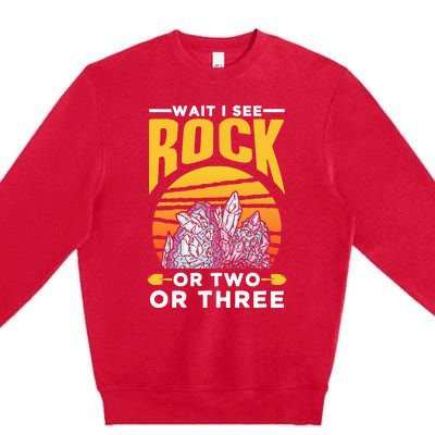 Wait I See A Rock Or Two Or Three Geologist Geology Stone Premium Crewneck Sweatshirt