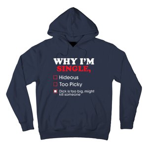 Why Im Single Dick Is Too Big Funny Gift For Singles Hoodie