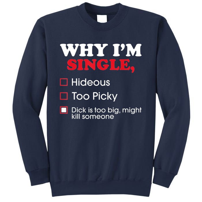 Why Im Single Dick Is Too Big Funny Gift For Singles Sweatshirt