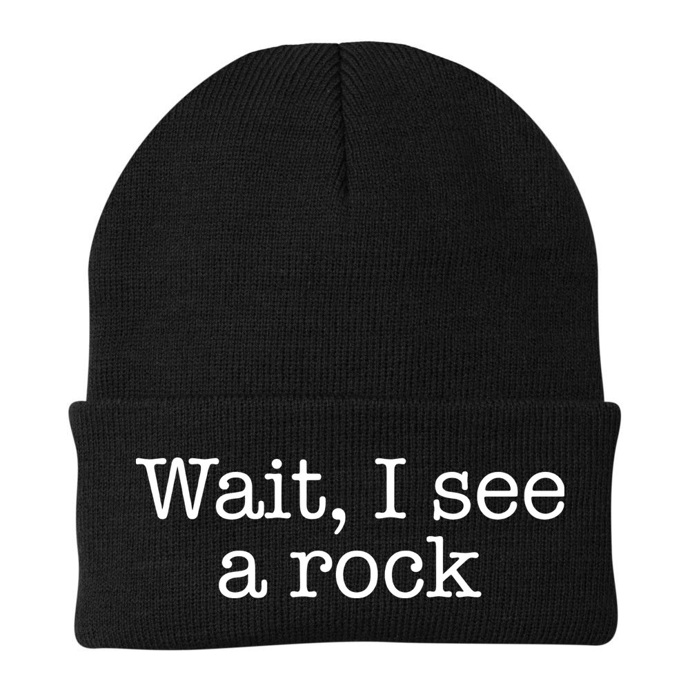 Wait I See A Rock Geology Teacher Beanie