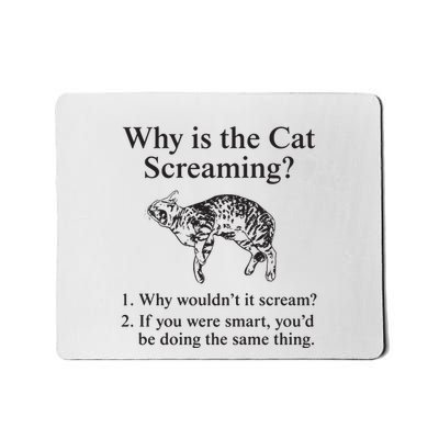 Why Is The Cat Screaming Funny Meme Mousepad