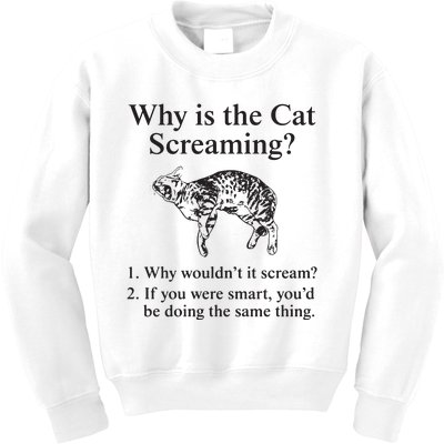 Why Is The Cat Screaming Funny Meme Kids Sweatshirt