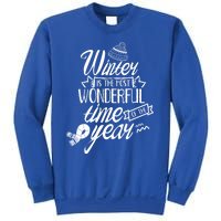 Winter Is The Most Wonderful Time Of The Year Cold Season Funny Gift Sweatshirt