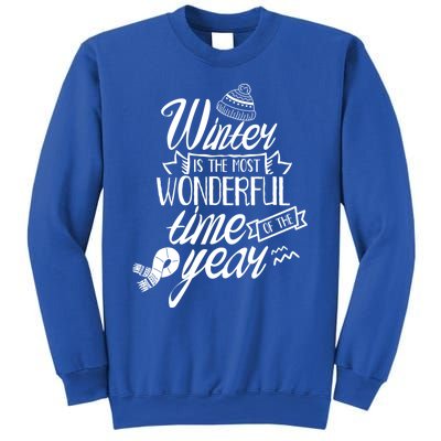 Winter Is The Most Wonderful Time Of The Year Cold Season Funny Gift Sweatshirt