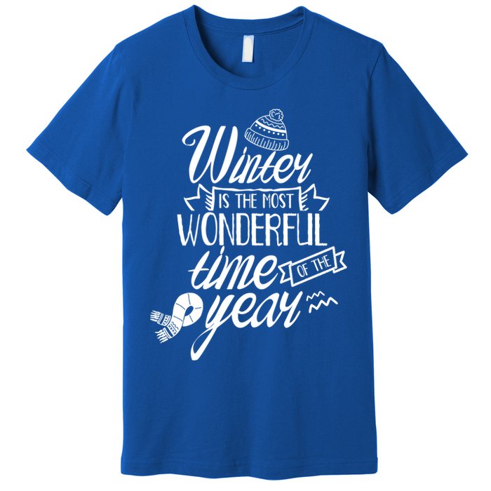 Winter Is The Most Wonderful Time Of The Year Cold Season Funny Gift Premium T-Shirt