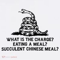 What Is The Charge Eating A Meal A Succulent Chinese Meal Youth Performance Sprint T-Shirt