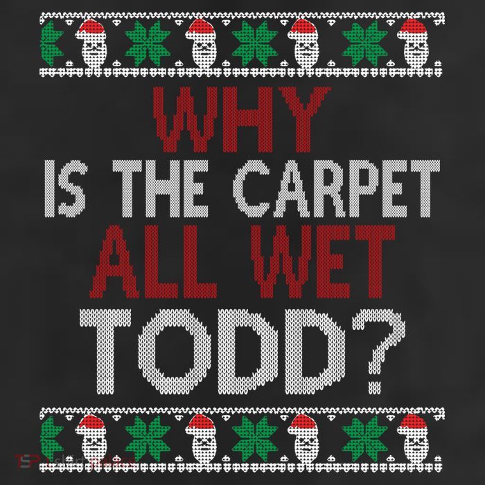 Why Is The Carpet All Wet Todd? Couples Matching Christmas Adult Drive Performance Visor
