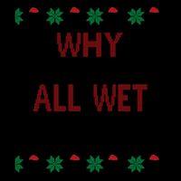 Why Is The Carpet All Wet Todd? Couples Matching Christmas 16oz Travel Tumbler