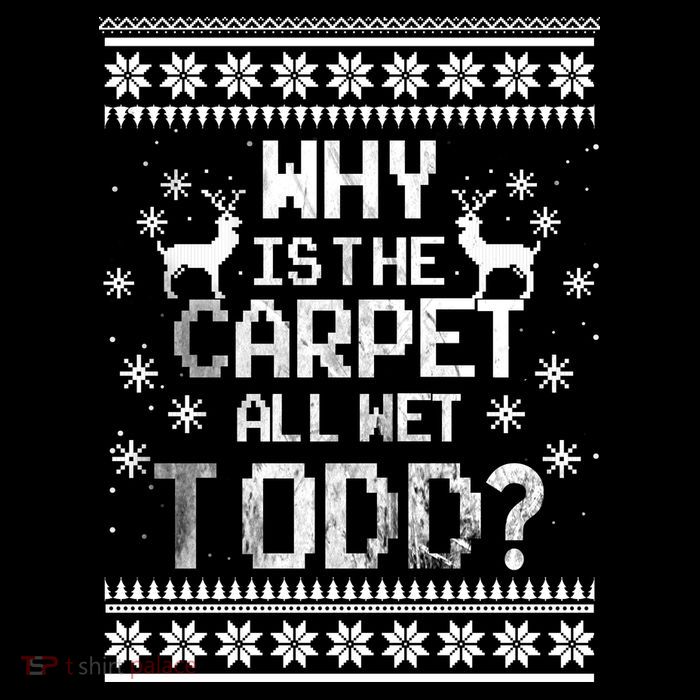 Why Is The Carpet All Wet Todd? Couples Matching Christmas Sustainable Beanie