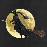 Witch and The Moon 7 Panel Mesh Trucker Snapback Hat