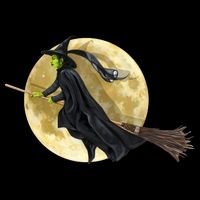 Witch and The Moon 16 in Basic Backpack