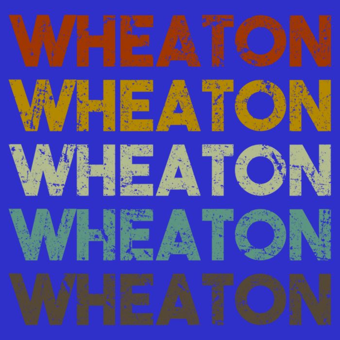 Wheaton Illinois Vintage 80s Retro Style Great Gift Hoodie