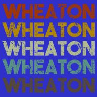 Wheaton Illinois Vintage 80s Retro Style Great Gift Visor