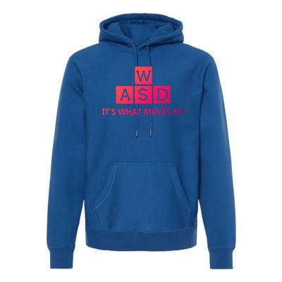 Wasd ItS What Moves Me Funny Pc Gamer Computer Gift Premium Hoodie