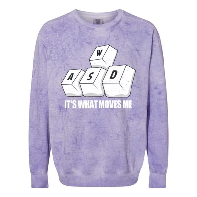 Wasd Its What Moves Me Funny Pc Gamer Gaming Gift Colorblast Crewneck Sweatshirt