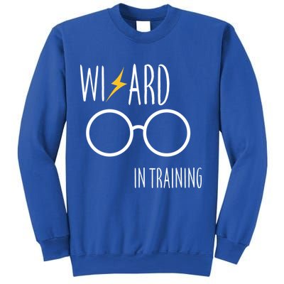 Wizard In Training  Sweatshirt