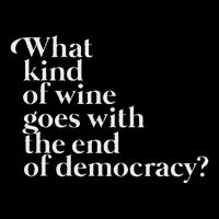 What Kind Of Wine Goes With The End Of Democracy Wool Snapback Cap