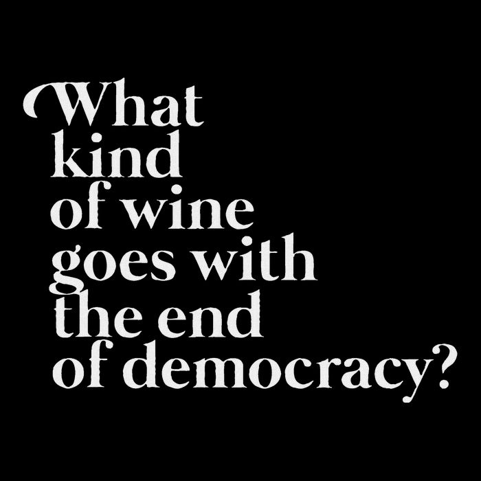 What Kind Of Wine Goes With The End Of Democracy Wool Snapback Cap