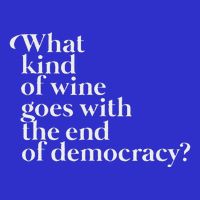 What Kind Of Wine Goes With The End Of Democracy Baby Bodysuit