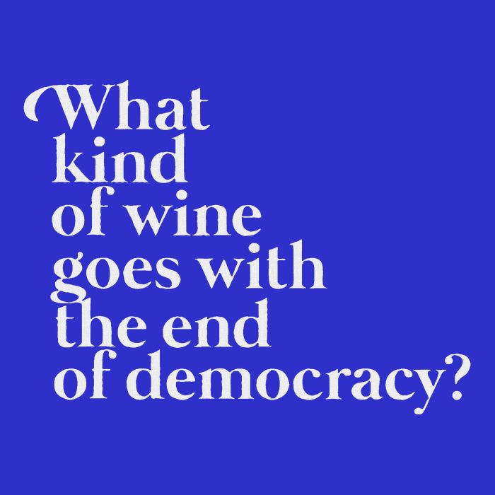 What Kind Of Wine Goes With The End Of Democracy Baby Bodysuit