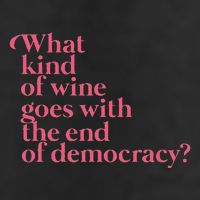 What Kind Of Wine Goes With The End Of Democracy Knit Cap Winter Beanie