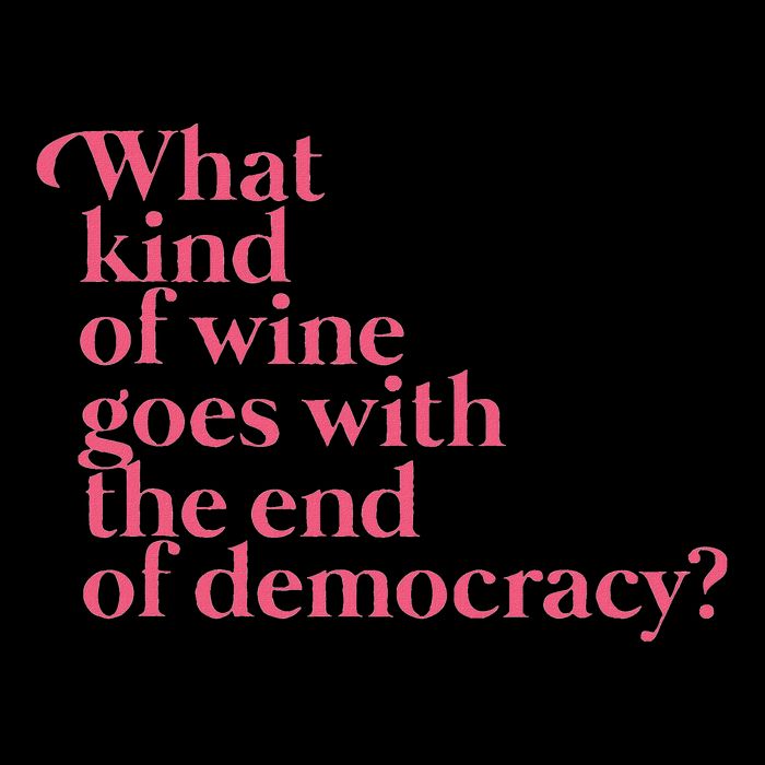 What Kind Of Wine Goes With The End Of Democracy Mousepad