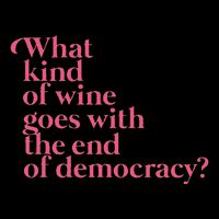 What Kind Of Wine Goes With The End Of Democracy Premium T-Shirt