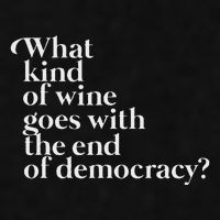 What Kind Of Wine Goes With The End Of Democracy Ladies PosiCharge Tri-Blend Wicking Tank