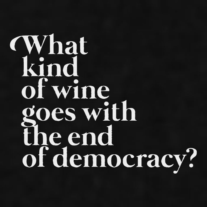 What Kind Of Wine Goes With The End Of Democracy Ladies PosiCharge Tri-Blend Wicking Tank