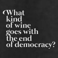 What Kind Of Wine Goes With The End Of Democracy Beanie