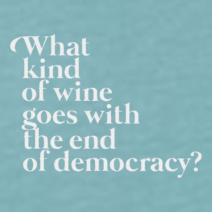 What Kind Of Wine Goes With The End Of Democracy Sueded Cloud Jersey T-Shirt
