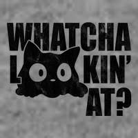 Watcha Lookin At Funny Cat Hoodie