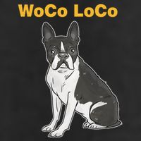 Woco Loco Boston Terrier Dog Adult Drive Performance Visor