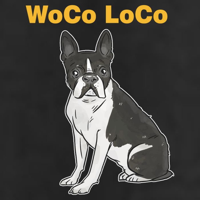 Woco Loco Boston Terrier Dog Adult Drive Performance Visor