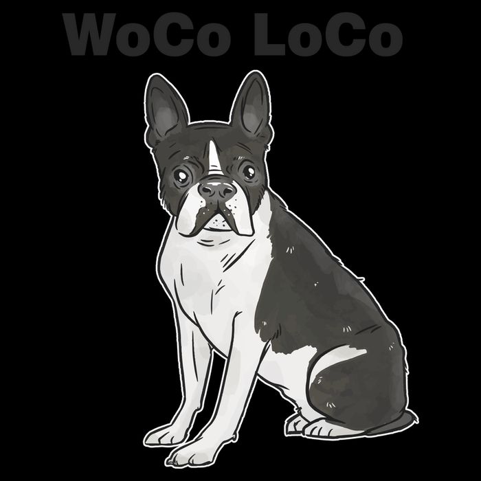 Woco Loco Boston Terrier Dog Mug