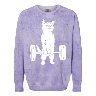 Weight Lifting Cat Deadlift Lifting Colorblast Crewneck Sweatshirt