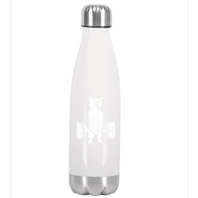 Weight Lifting Cat Deadlift Lifting Stainless Steel Insulated Water Bottle