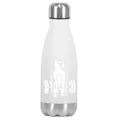 Weight Lifting Cat Deadlift Lifting Stainless Steel Insulated Water Bottle