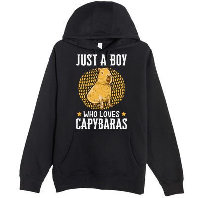  who loves Capybaras South American Capybara  Premium Pullover Hoodie