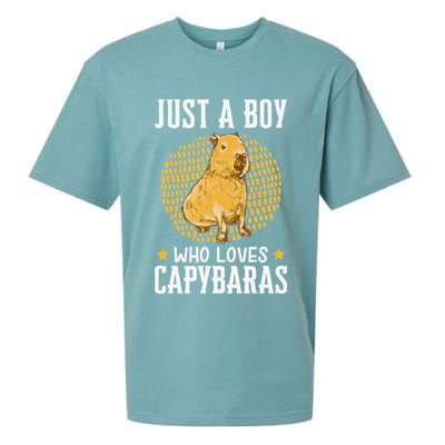  who loves Capybaras South American Capybara  Sueded Cloud Jersey T-Shirt