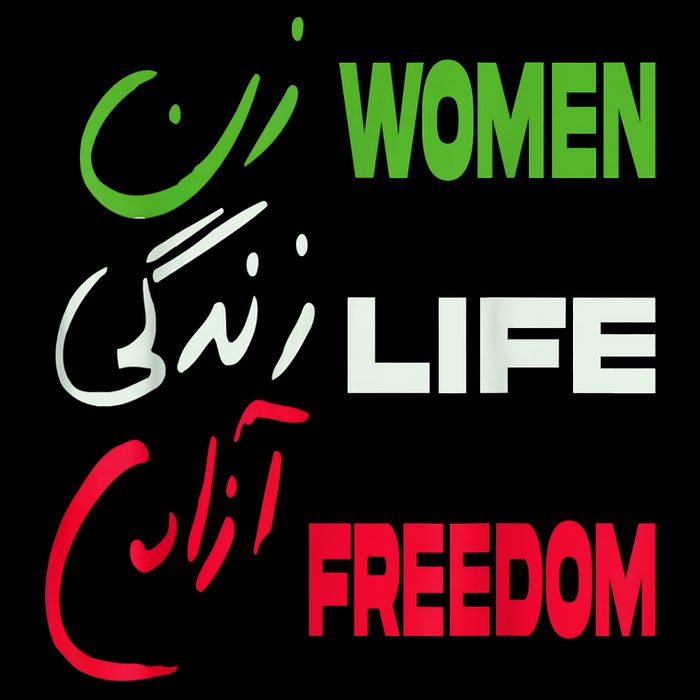 Women Life Freedom Zan Zendegi Azadi Farsi Support Iran Women's V-Neck T-Shirt