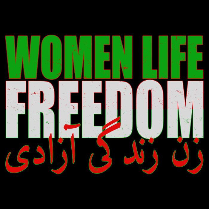 Women Life Freedom Zan Zendegi Azadi Persian Iranian Women Apron