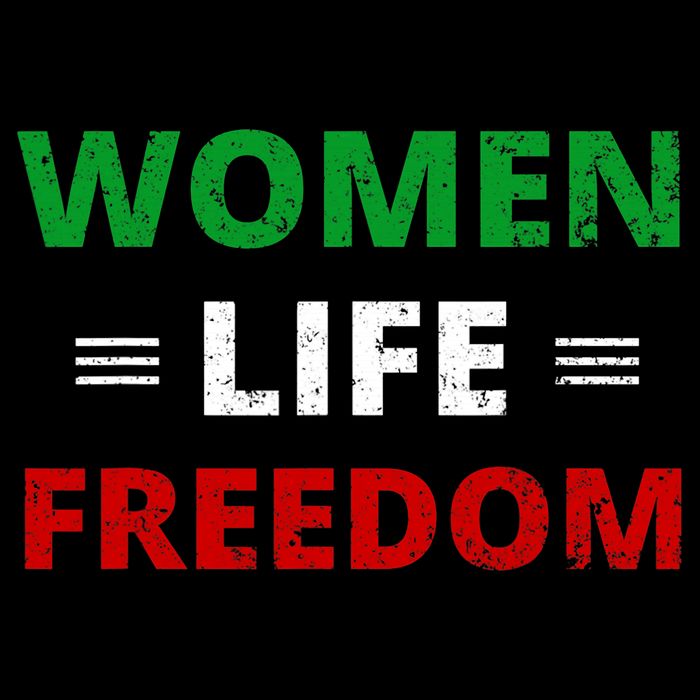 Women Life Freedom Shirt Zan Zendegi Azadi Iran Toddler T-Shirt