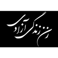 Women Life Freedom In Farsi Shirt, Zan Zendegi Azadi Bumper Sticker