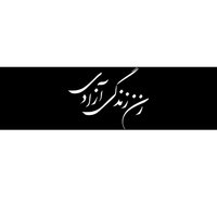 Women Life Freedom In Farsi Shirt, Zan Zendegi Azadi Bumper Sticker