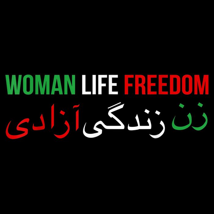 Woman Life Freedom Iran English Persian Protest Slogan Wool Snapback Cap
