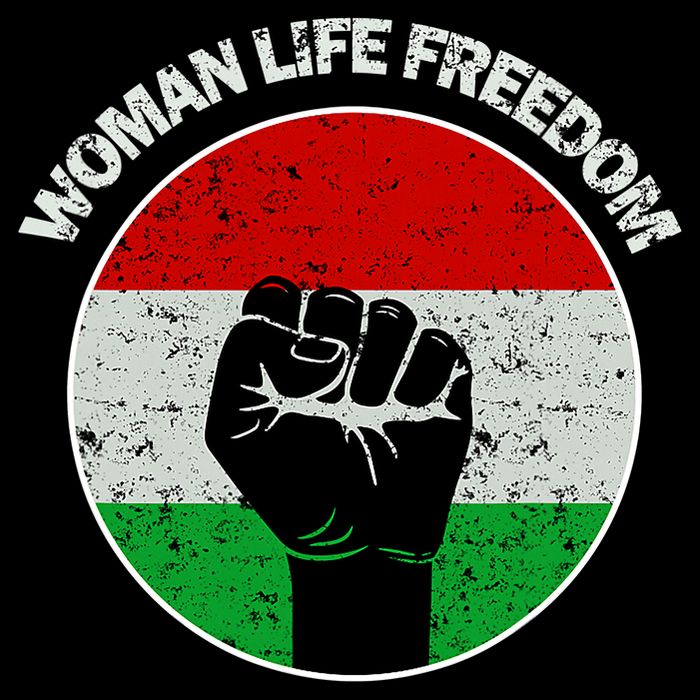 Woman Life Freedom Iran, Rise With Women Of Iran Flat Bill Trucker Hat