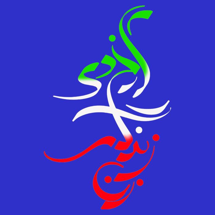 Woman Life Freedom Zan Zendegi Azadi Iran Womens Women's V-Neck T-Shirt