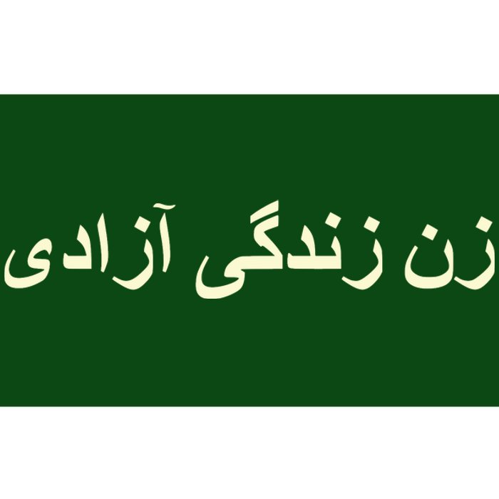 Women Life Freedom Zan Zendegi Azadi Iran Bumper Sticker