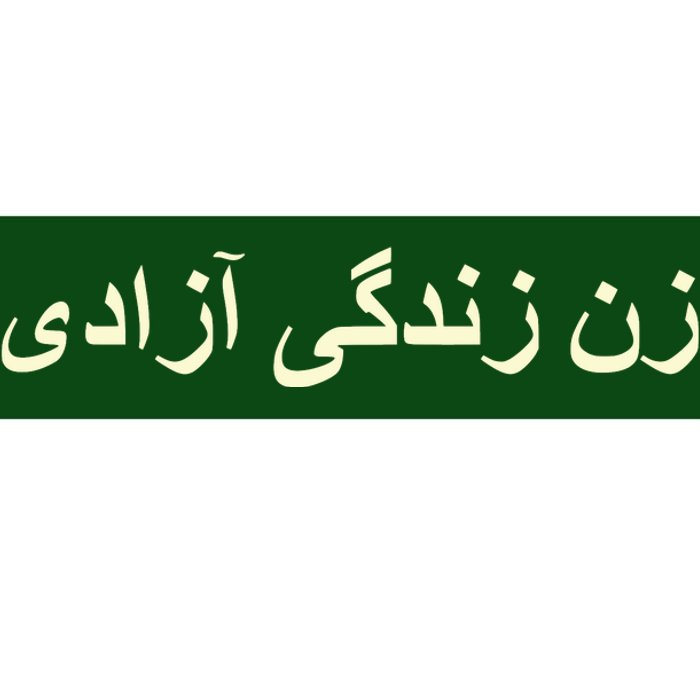 Women Life Freedom Zan Zendegi Azadi Iran Bumper Sticker